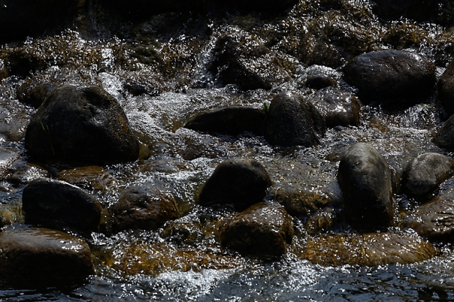 Jardin des Impressionnistes-MAI14-102